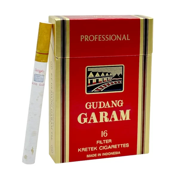 บุหรี่ GARAM กาแรม Professional 16 (16 มวน)