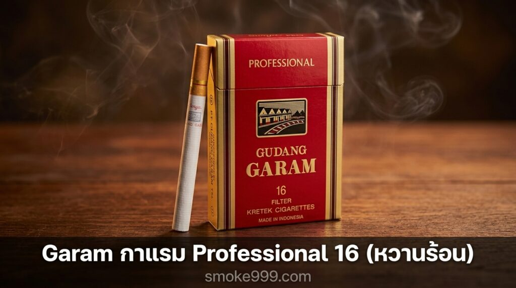 garam professional 16