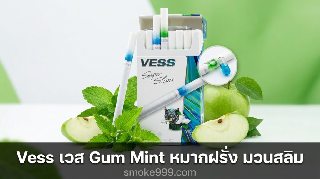 รีวิว Vess เวส Gum Mint หมากฝรั่ง มวนสลิม ฉบับเต็ม — ละเอียดครบทุกด้าน | smoke999.com