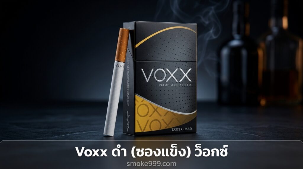 voxx 1 1